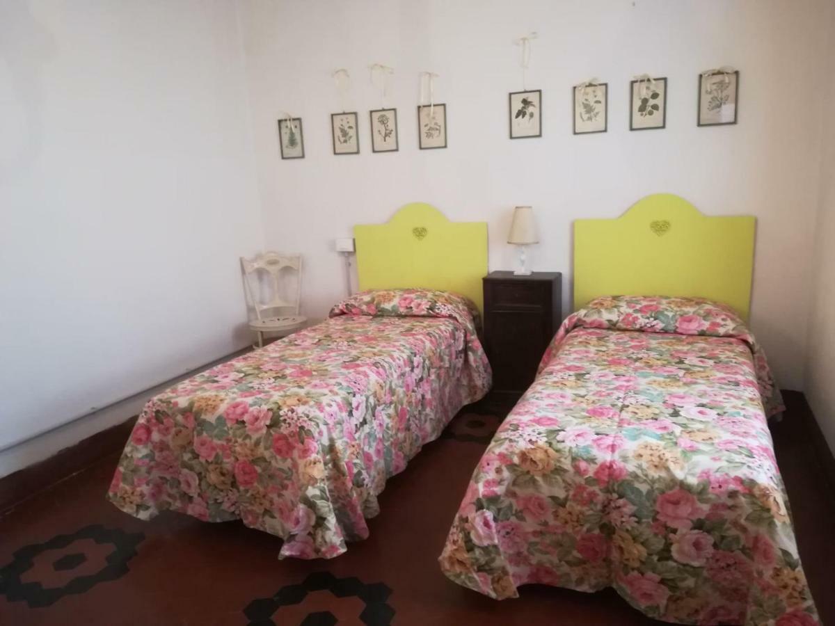 Le Finestre Di San Michele Apartment Castiglion Fiorentino